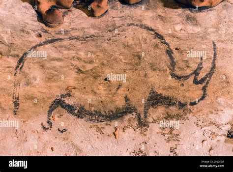 woolly rhinoceros cave painting.